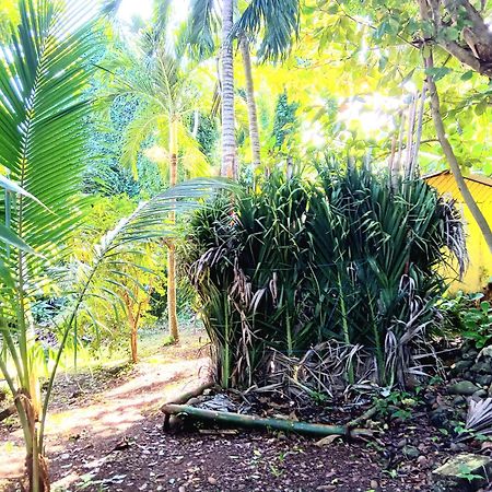 La Familia Guest House And Natural Farm 安东尼奥港 外观 照片