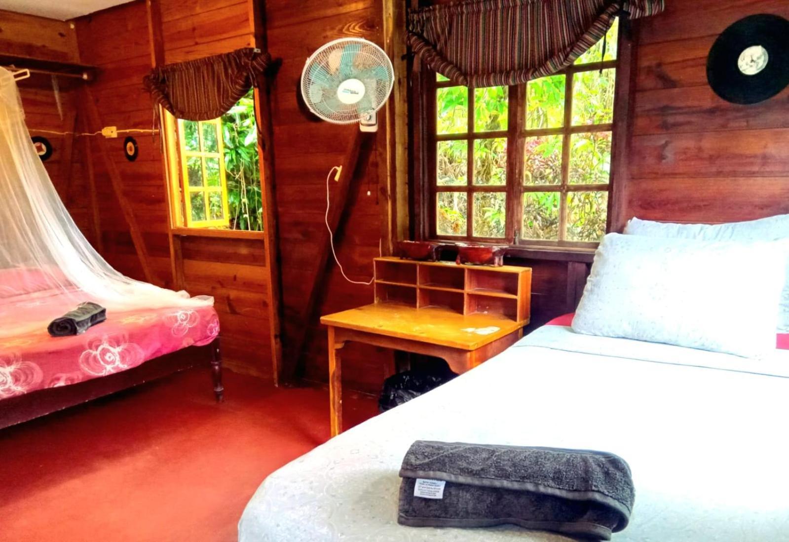 La Familia Guest House And Natural Farm 安东尼奥港 外观 照片
