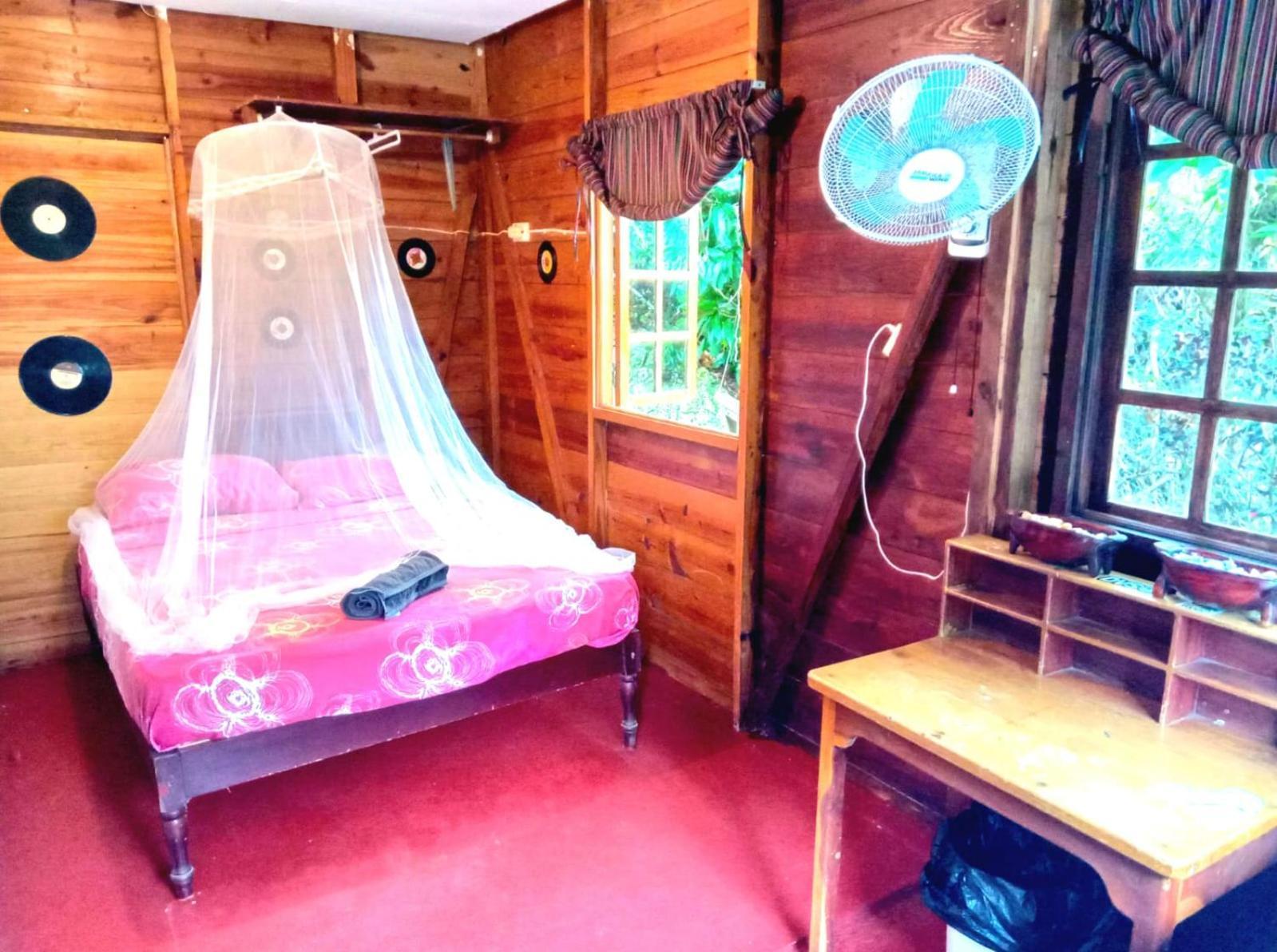 La Familia Guest House And Natural Farm 安东尼奥港 外观 照片