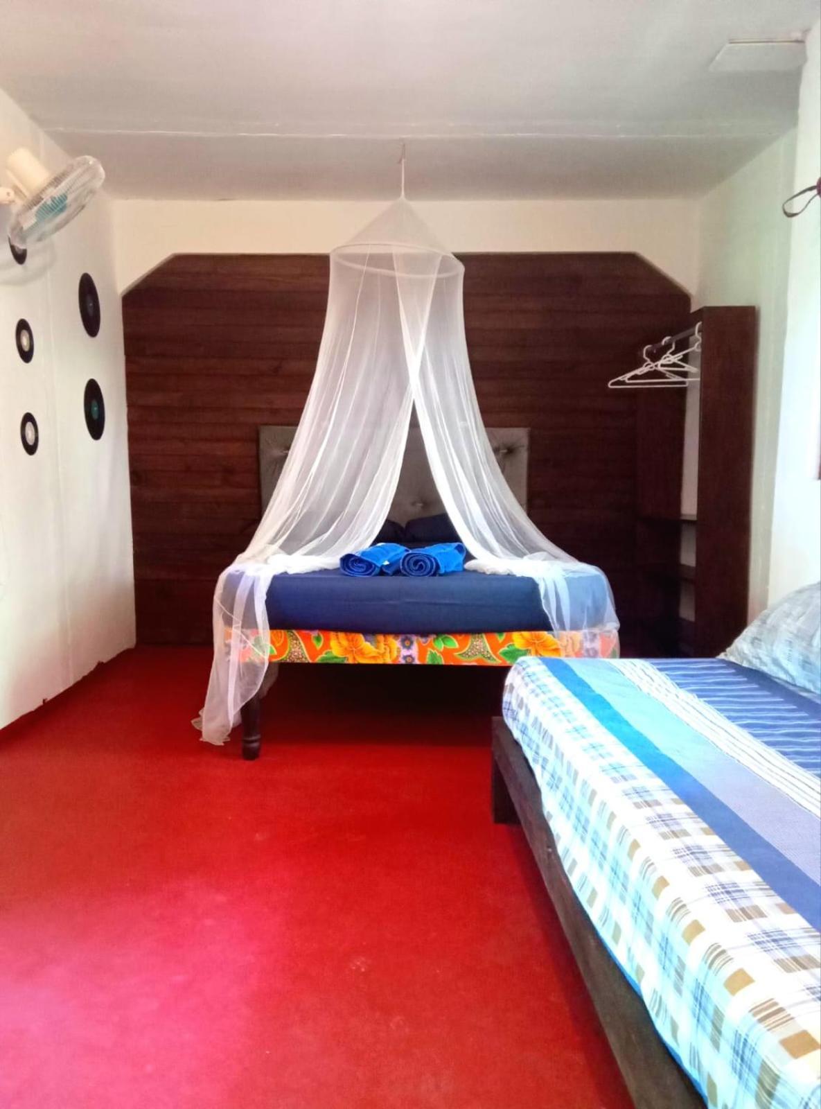 La Familia Guest House And Natural Farm 安东尼奥港 外观 照片