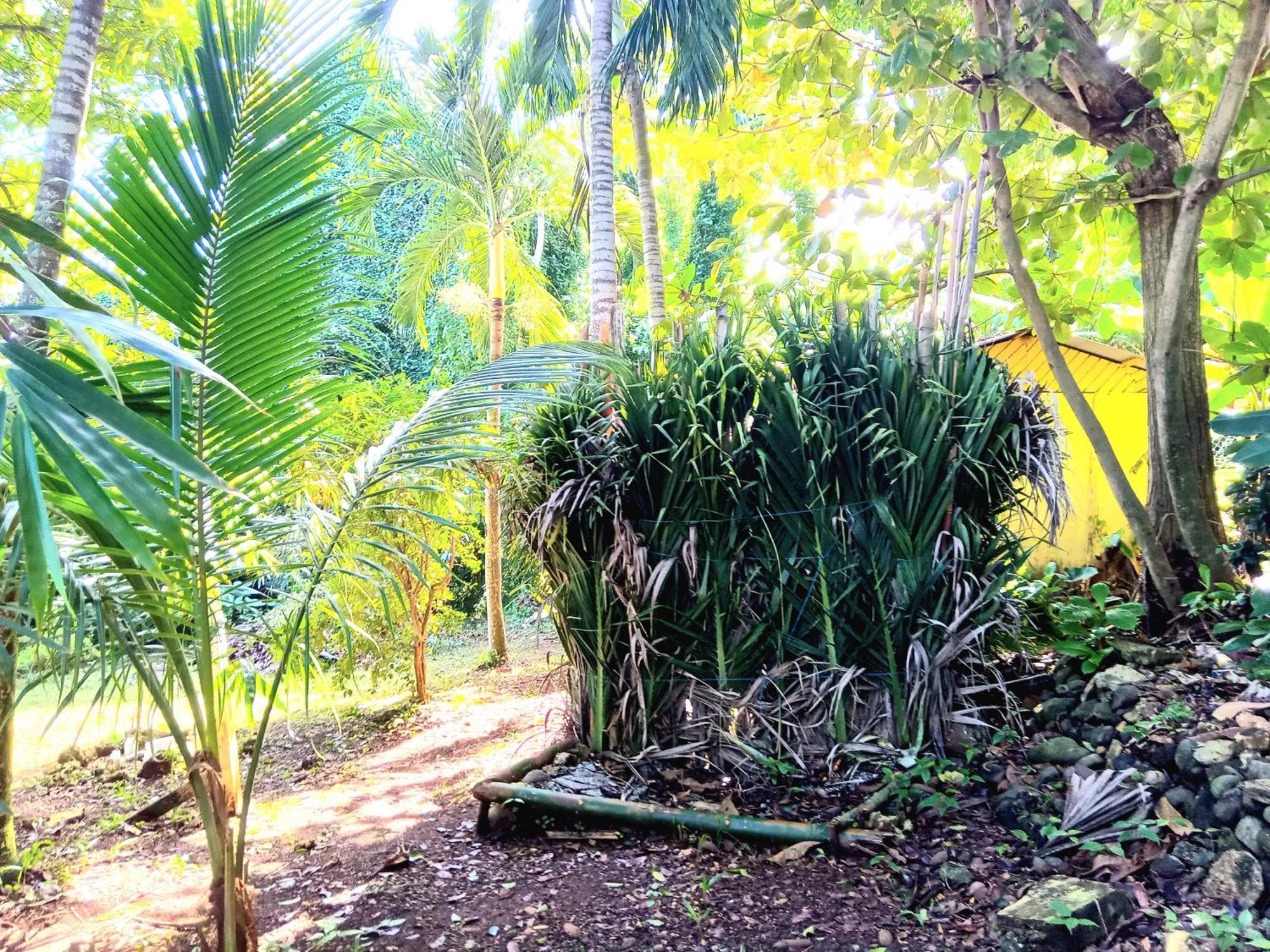 La Familia Guest House And Natural Farm 安东尼奥港 外观 照片