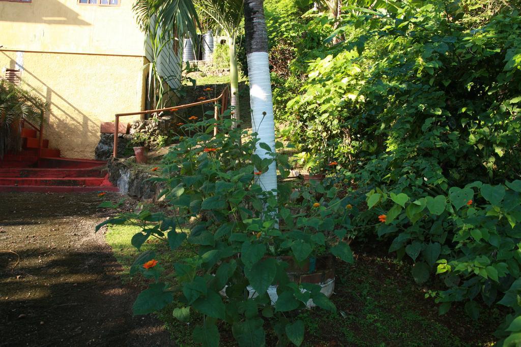 La Familia Guest House And Natural Farm 安东尼奥港 外观 照片