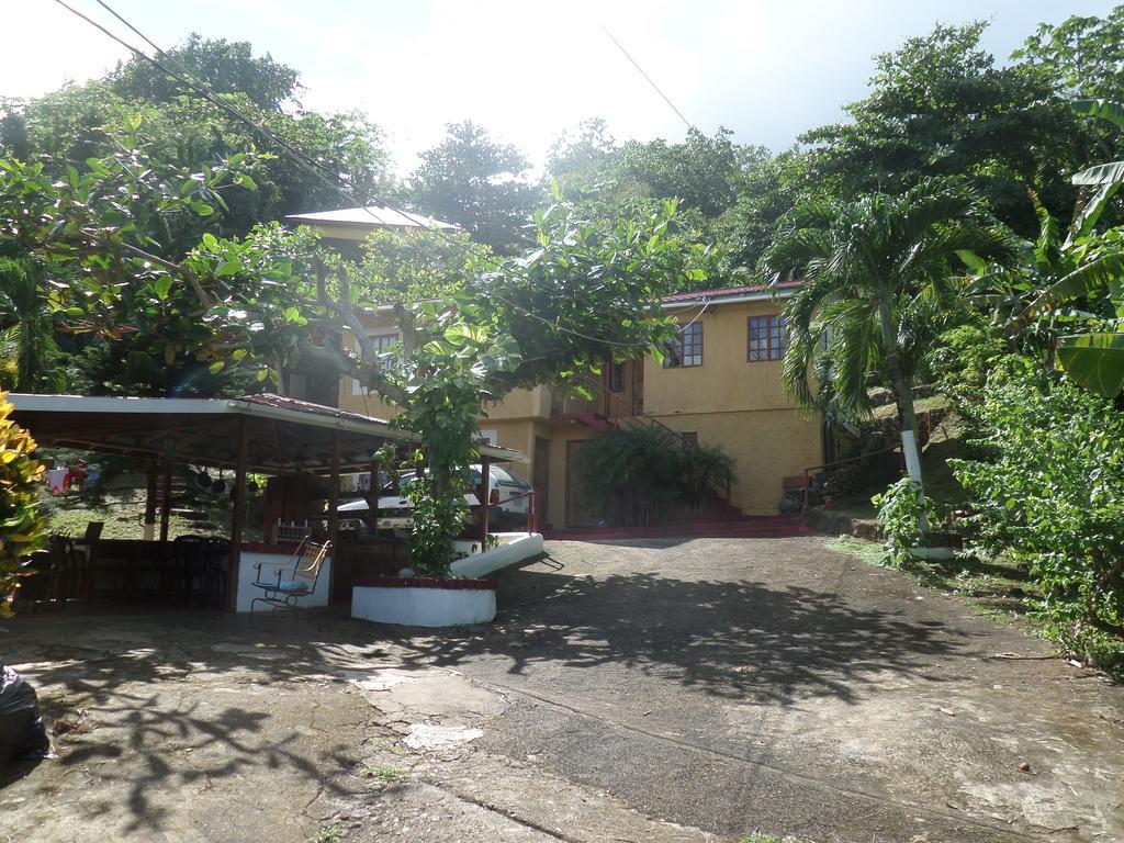 La Familia Guest House And Natural Farm 安东尼奥港 外观 照片