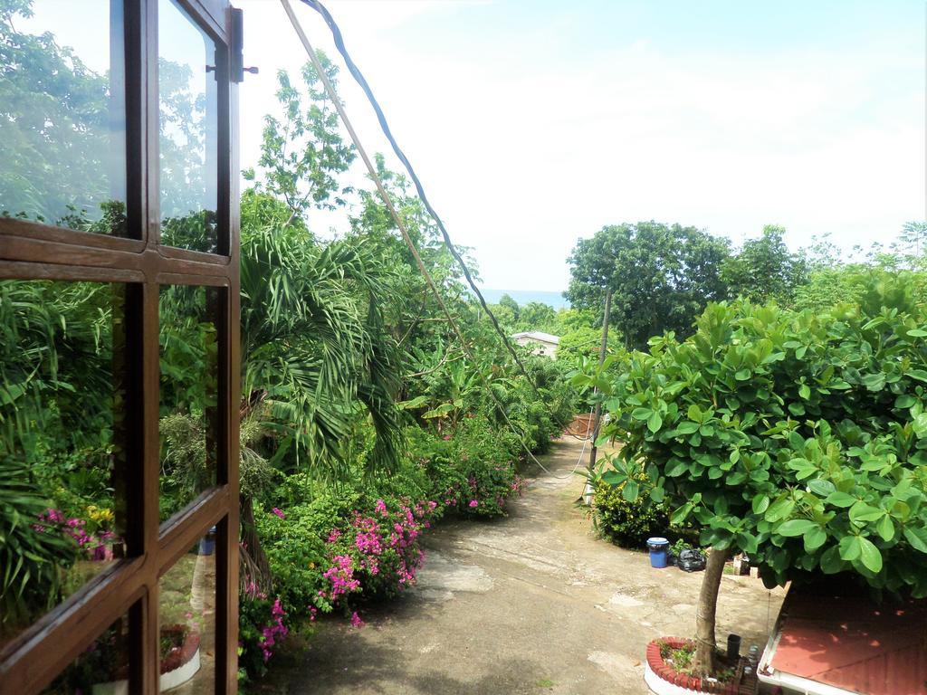 La Familia Guest House And Natural Farm 安东尼奥港 外观 照片