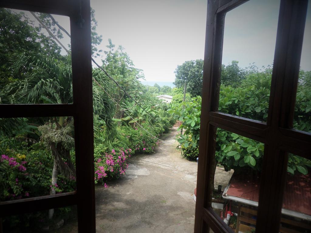 La Familia Guest House And Natural Farm 安东尼奥港 外观 照片